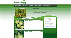 Desktop Screenshot of pepinieracioclea.ro