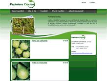 Tablet Screenshot of pepinieracioclea.ro